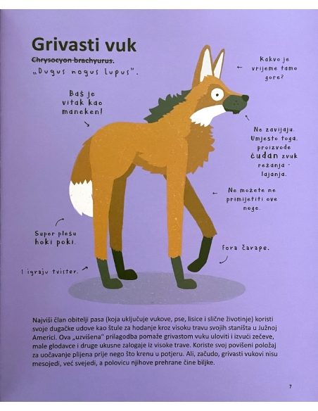 Najsmješnije životinje na svijetu