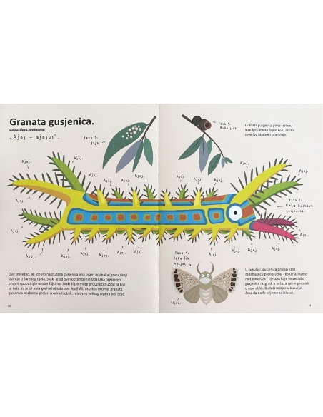 Najsmješnije životinje na svijetu