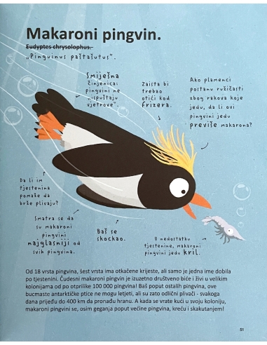 Najsmješnije životinje na svijetu