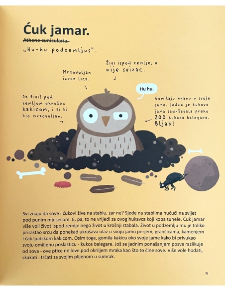 Najsmješnije životinje na svijetu