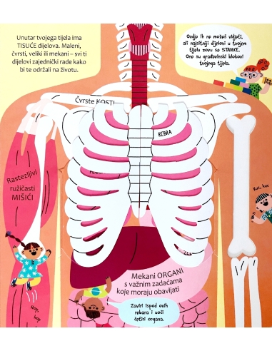 Zakorači u znanost - Tvoje tijelo
