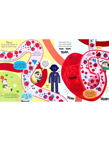 Zakorači u znanost - Tvoje tijelo