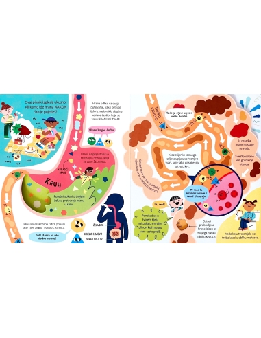 Zakorači u znanost - Tvoje tijelo