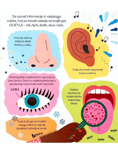 Zakorači u znanost - Tvoje tijelo