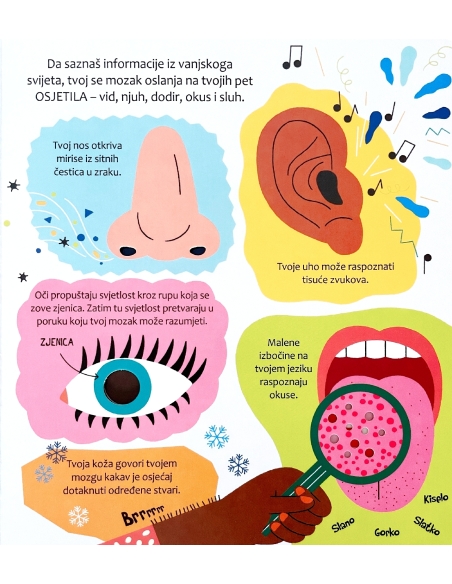 Zakorači u znanost - Tvoje tijelo
