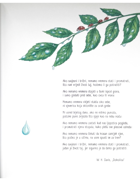 Zastani na tren (Rachel Williams, Freya Hartas)