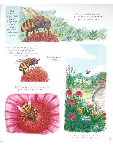 Zastani na tren (Rachel Williams, Freya Hartas)