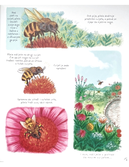 Zastani na tren (Rachel Williams, Freya Hartas)