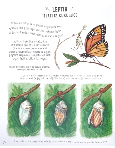 Zastani na tren (Rachel Williams, Freya Hartas)