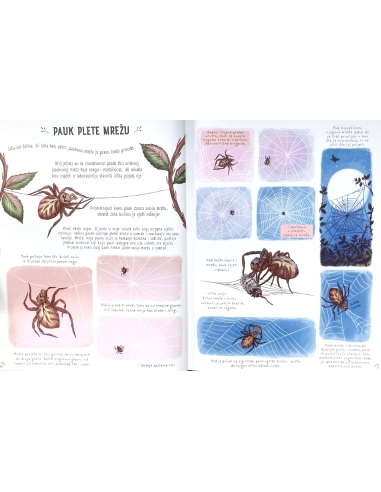 Zastani na tren (Rachel Williams, Freya Hartas)