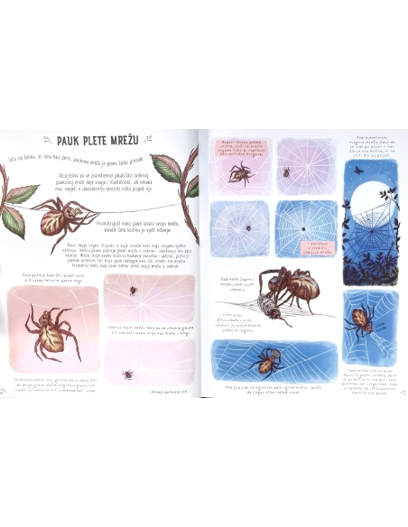 Zastani na tren (Rachel Williams, Freya Hartas)