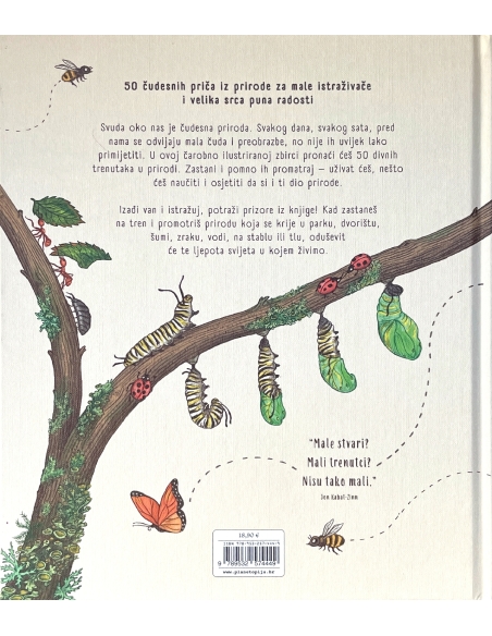 Zastani na tren (Rachel Williams, Freya Hartas)