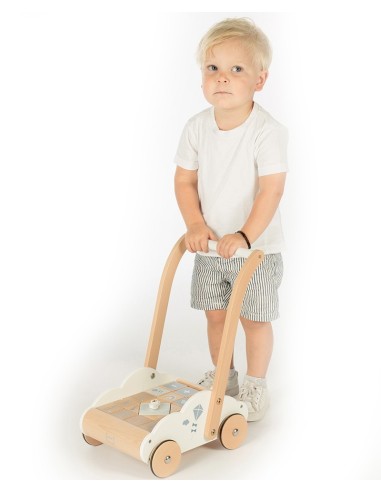 Label Label Educational Babywalker Blue