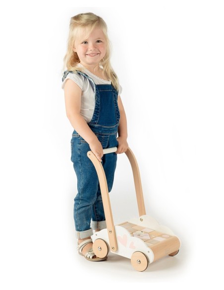 Label Label Drvena edukativna guralica sa kockicama – Pink