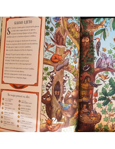 Veseli život u Medinoj šumi