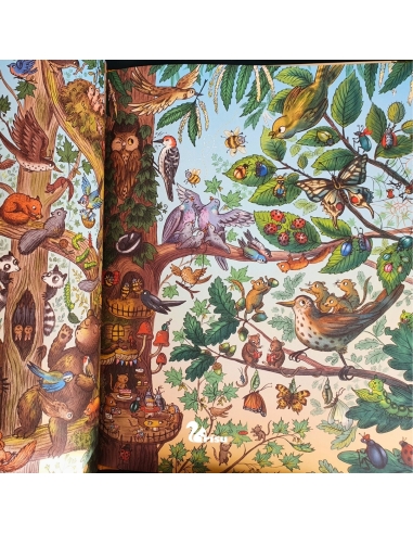 Veseli život u Medinoj šumi