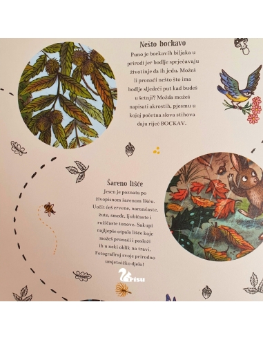 Veseli život u Medinoj šumi