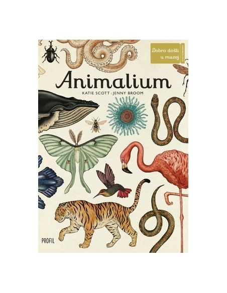 Animalium (Jenny Broom)