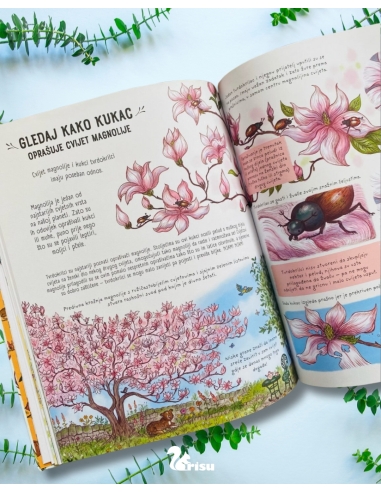 Zastani na tren i promatraj