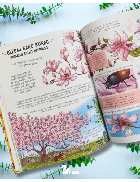 Zastani na tren i promatraj