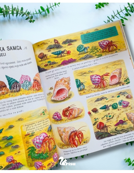 Zastani na tren i promatraj