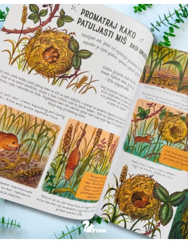 Zastani na tren i promatraj