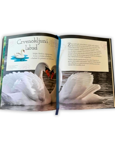 Antologija života u vodama (Sam Hume)