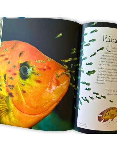 Antologija života u vodama (Sam Hume)