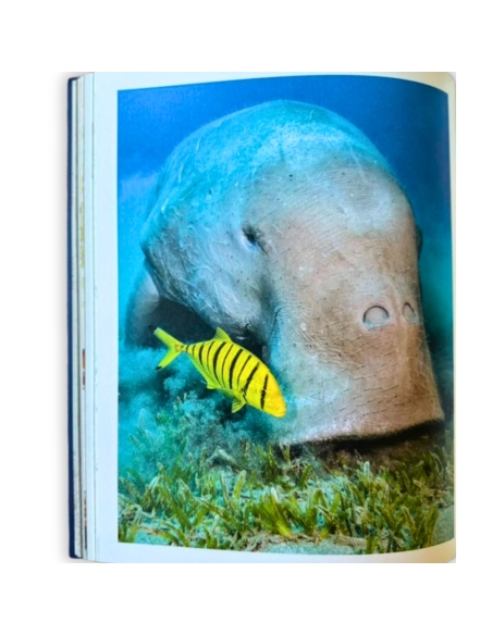 Antologija života u vodama (Sam Hume)