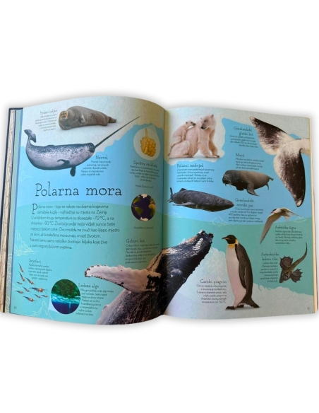 Antologija života u vodama (Sam Hume)