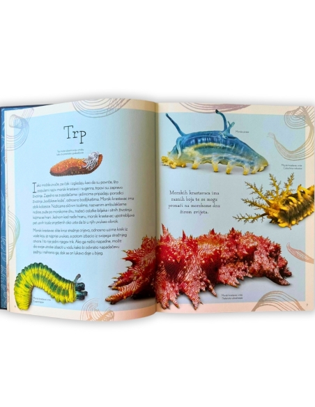 Antologija života u vodama (Sam Hume)