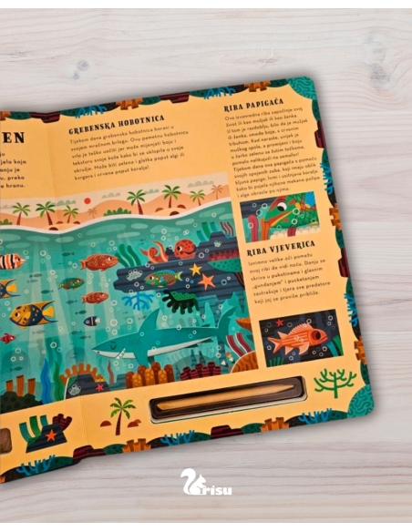 Zaroni i otkrij - Duboko modro more