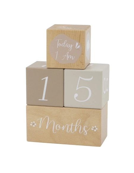 Label Label Drvene Milestone Kockice – Nougat