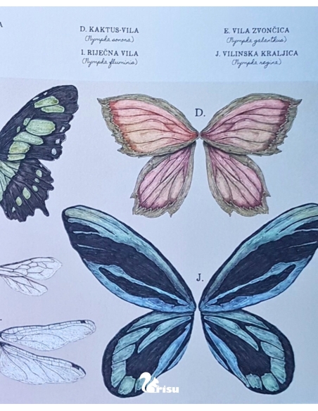 Vile - Tajne bilješke (Emily Hawkins, Jessica Roux)