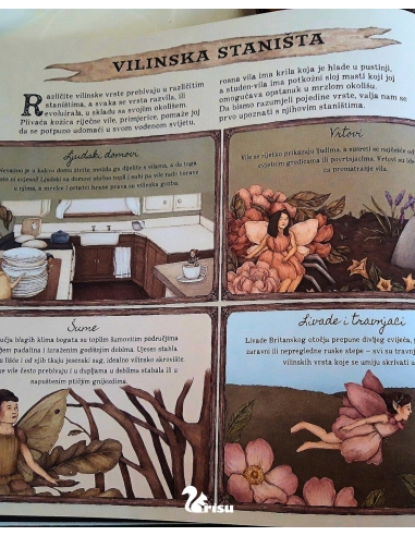 Vile - Tajne bilješke (Emily Hawkins, Jessica Roux)