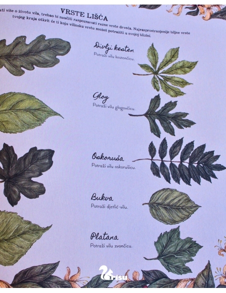 Vile - Tajne bilješke (Emily Hawkins, Jessica Roux)