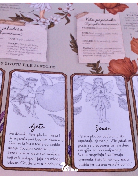 Vile - Tajne bilješke (Emily Hawkins, Jessica Roux)