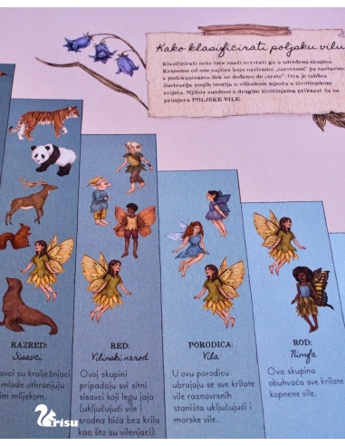 Vile - Tajne bilješke (Emily Hawkins, Jessica Roux)