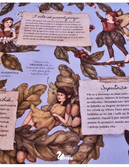 Vile - Tajne bilješke (Emily Hawkins, Jessica Roux)