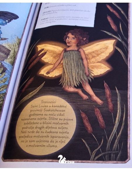 Vile - Tajne bilješke (Emily Hawkins, Jessica Roux)