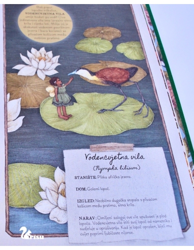 Vile - Tajne bilješke (Emily Hawkins, Jessica Roux)