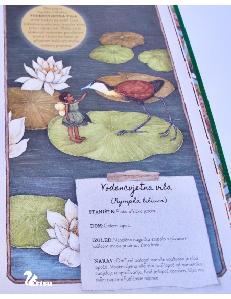 Vile - Tajne bilješke (Emily Hawkins, Jessica Roux)