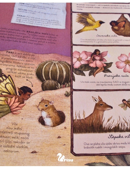 Vile - Tajne bilješke (Emily Hawkins, Jessica Roux)