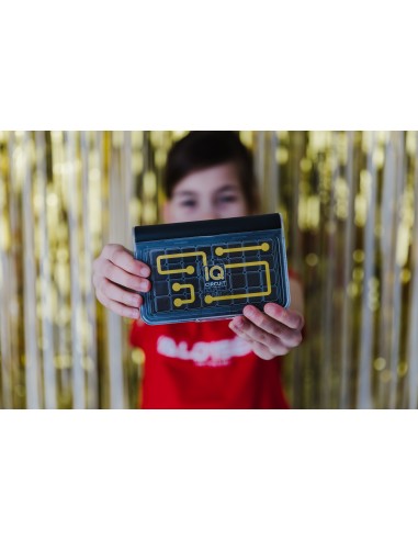 SmartGames IQ Circuit